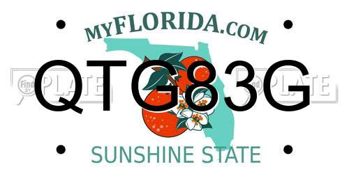 QTG83G Florida License Plate