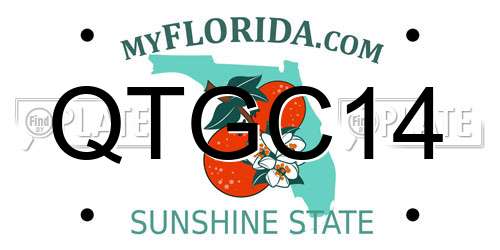 QTGC14 Florida License Plate