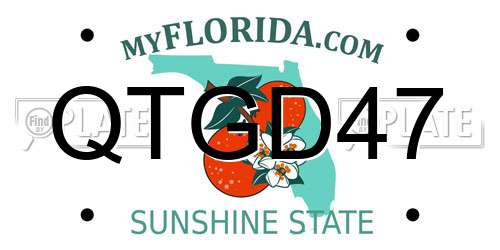 QTGD47 Florida License Plate