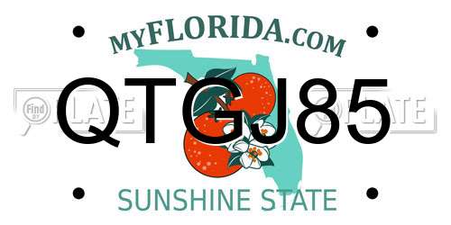 QTGJ85 Florida License Plate
