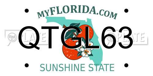 QTGL63 Florida License Plate