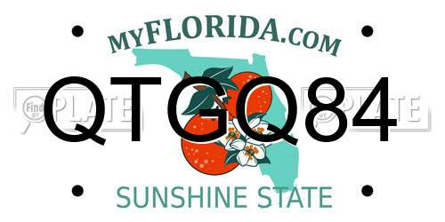 QTGQ84 Florida License Plate