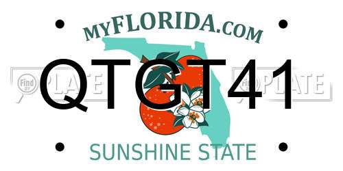 QTGT41 Florida License Plate