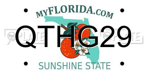 QTHG29 Florida License Plate