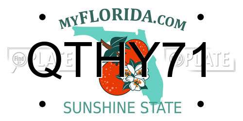 QTHY71 Florida License Plate