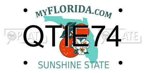 QTIE74 Florida License Plate