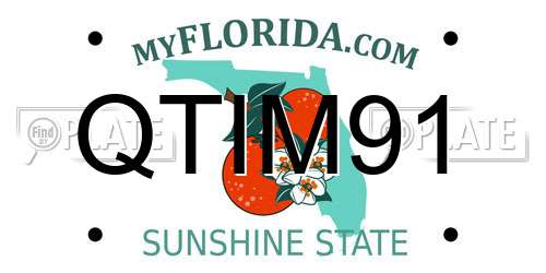 QTIM91 Florida License Plate