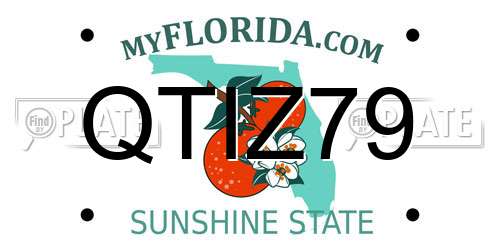 QTIZ79 Florida License Plate