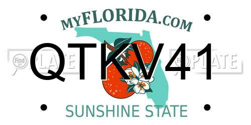 QTKV41 Florida License Plate