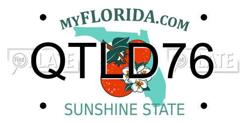 QTLD76 Florida License Plate