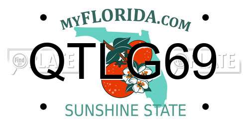 QTLG69 Florida License Plate