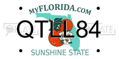 QTLL84 Florida License Plate
