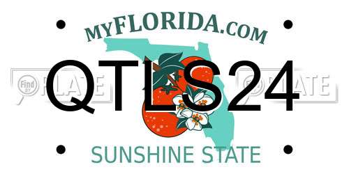 QTLS24 Florida License Plate