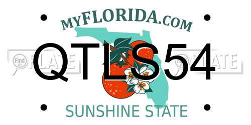 QTLS54 Florida License Plate