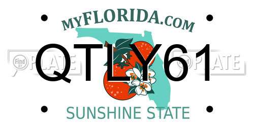 QTLY61 Florida License Plate