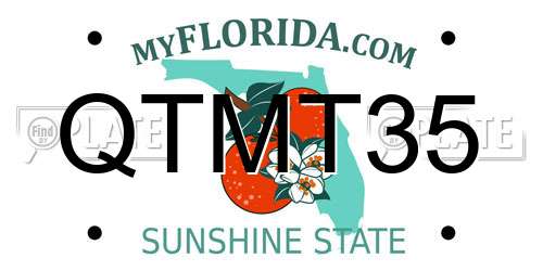 QTMT35 Florida License Plate