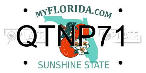 QTNP71 Florida License Plate
