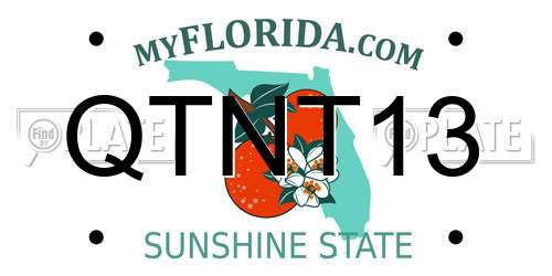 QTNT13 Florida License Plate
