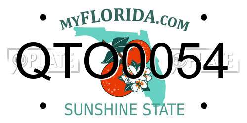 QTO0054 Florida License Plate