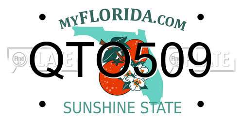 QTO509 Florida License Plate