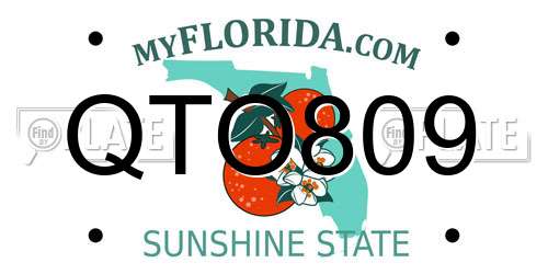 QTO809 Florida License Plate