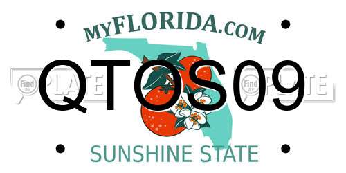 QTOS09 Florida License Plate