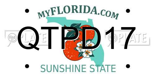 QTPD17 Florida License Plate