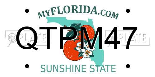 QTPM47 Florida License Plate