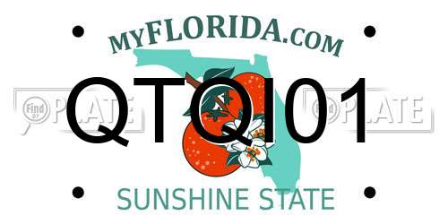 QTQI01 Florida License Plate