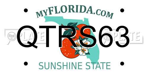 QTRS63 Florida License Plate