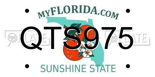 QTS975 Florida License Plate