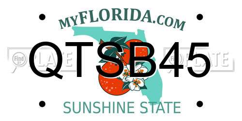 QTSB45 Florida License Plate