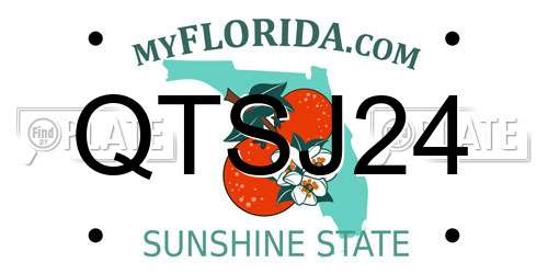 QTSJ24 Florida License Plate