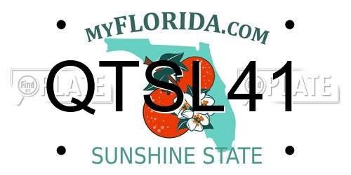 QTSL41 Florida License Plate