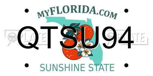 QTSU94 Florida License Plate