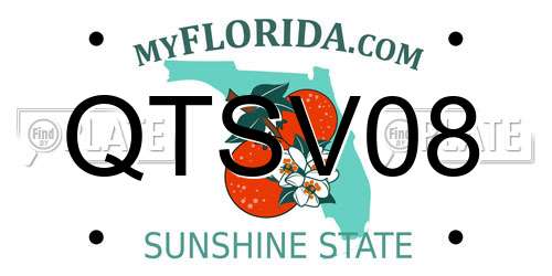 QTSV08 Florida License Plate