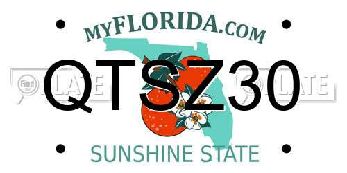 QTSZ30 Florida License Plate