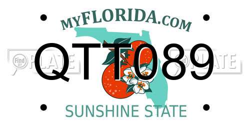 QTT089 Florida License Plate