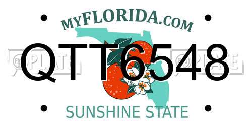 QTT6548 Florida License Plate