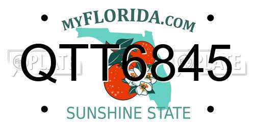 QTT6845 Florida License Plate