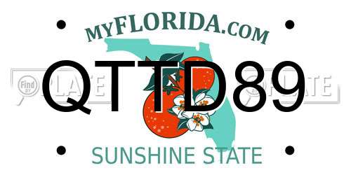 QTTD89 Florida License Plate