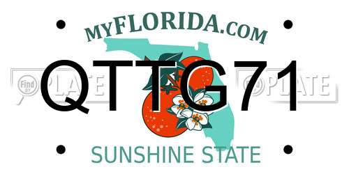 QTTG71 Florida License Plate