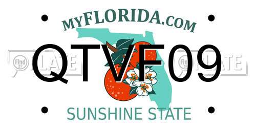 QTVF09 Florida License Plate