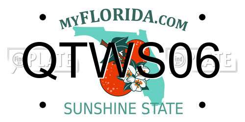 QTWS06 Florida License Plate