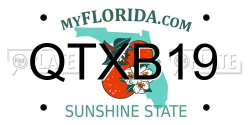 QTXB19 Florida License Plate