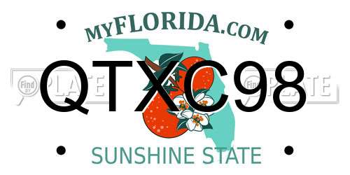 QTXC98 Florida License Plate