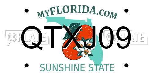 QTXJ09 Florida License Plate