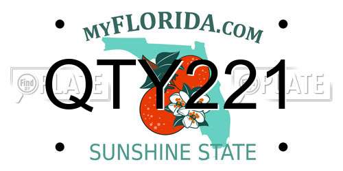 QTY221 Florida License Plate