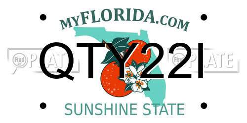 QTY22I Florida License Plate