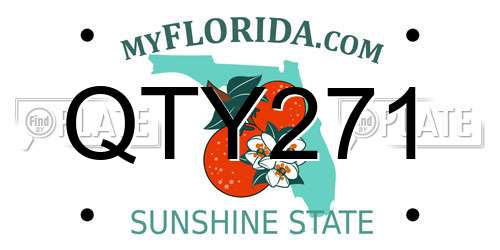 QTY271 Florida License Plate